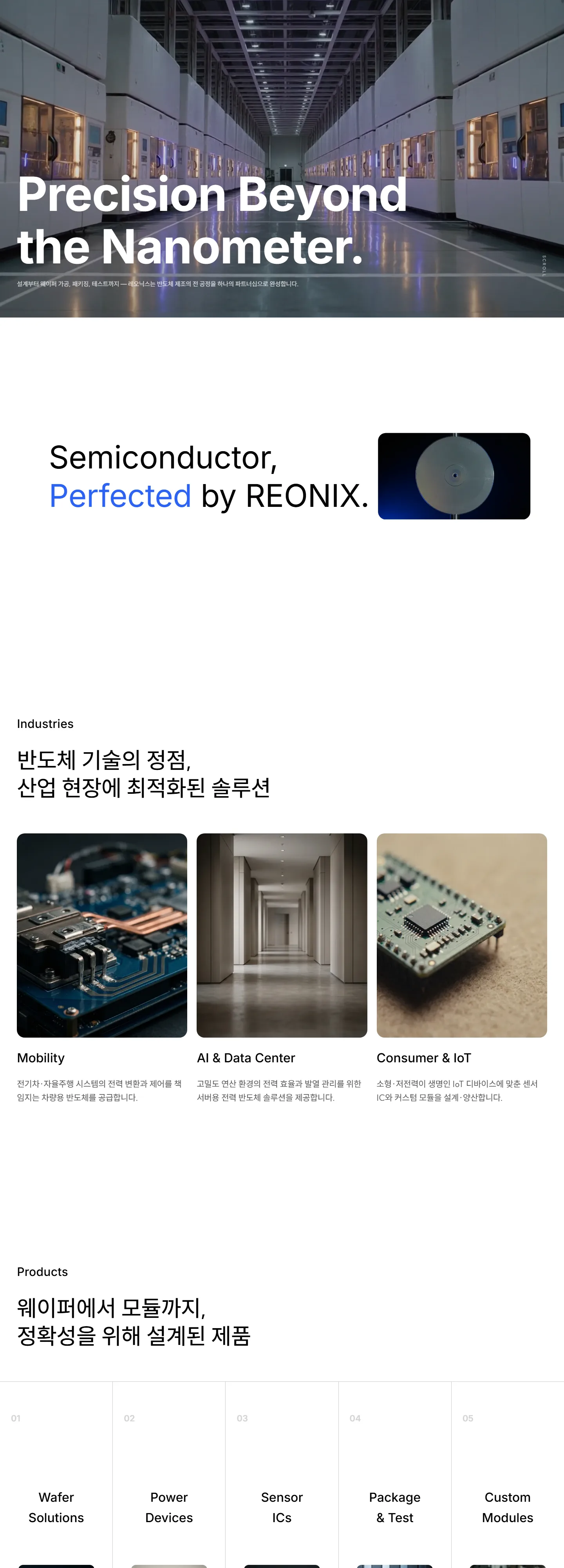 REONIX 레오닉스 (데모) 웹사이트 전체 페이지 스크린샷 1/3